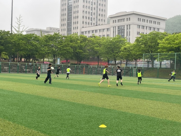 체유대회4.jpg
